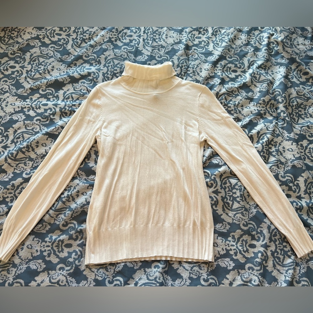 BCBG Sweater